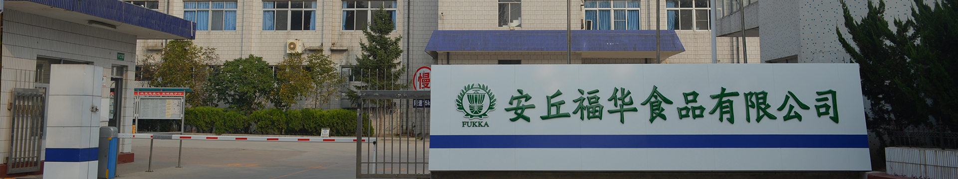 九游电脑版官方正版下载